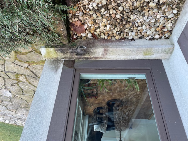 Bulge under leaky window