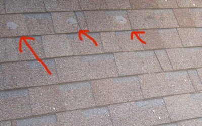 Chimneys in Middleburg, Virginia