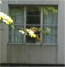 Lack window sill deteriorates stucco