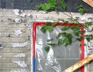 Chips leave the surface rough and the pores open for a good bond.